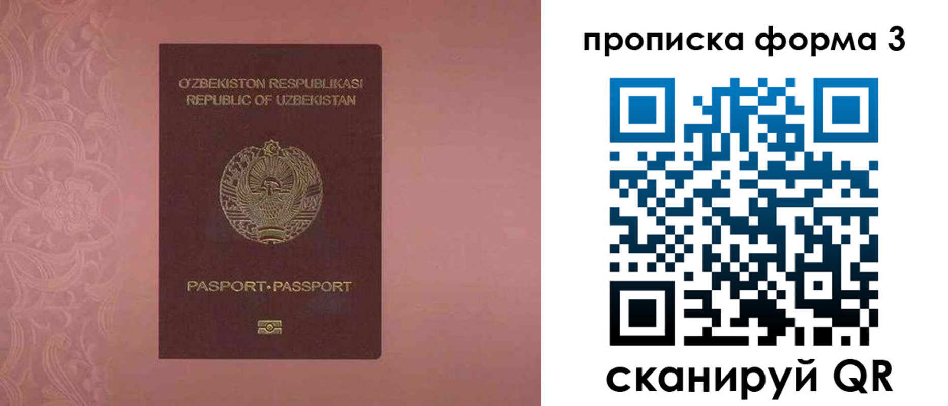регистрация в Мурино